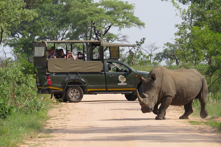 Kruger National Park sunrise Morning Private safari - Photo 1 of 11